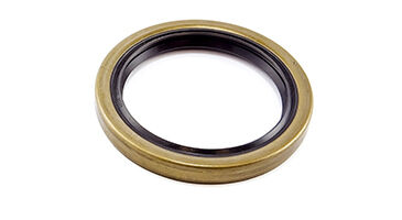 Hub Oil Seal